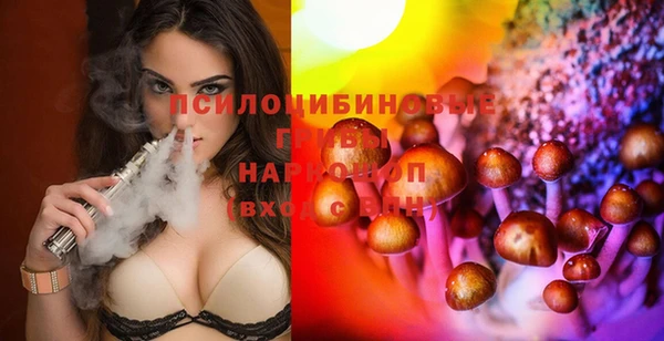 гашик Армянск